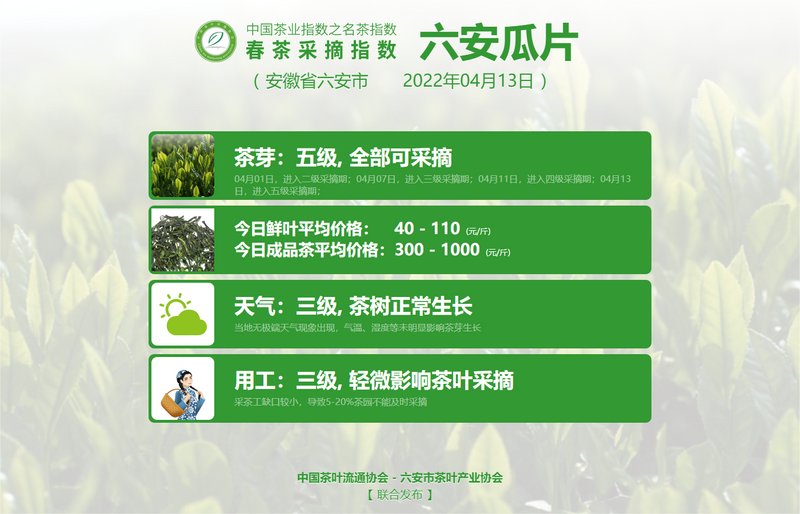 关于春茶采摘指数:4月13日 六安瓜片进入五级采摘期,太平猴魁进入三级采摘期的新闻(1)