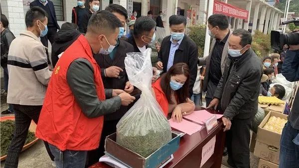 有关于为卖茶难纾困,信阳、宣城这么做!的消息(3)