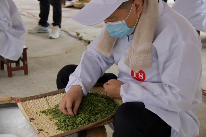 有关于制茶竞技促发展 “工匠精神”技艺传——勉县举办2022年第三届手工制茶技能竞赛的相关内容(2)