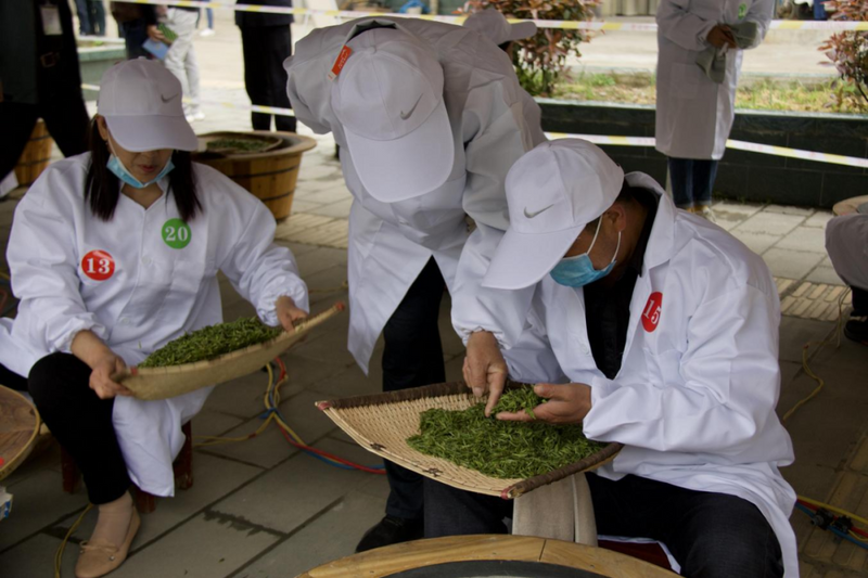 有关于制茶竞技促发展 “工匠精神”技艺传——勉县举办2022年第三届手工制茶技能竞赛的相关内容(1)