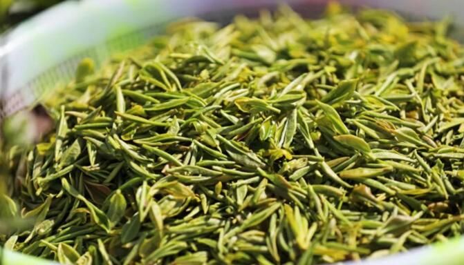 关于重庆彭水：茶农抢采“谷雨茶”的资讯