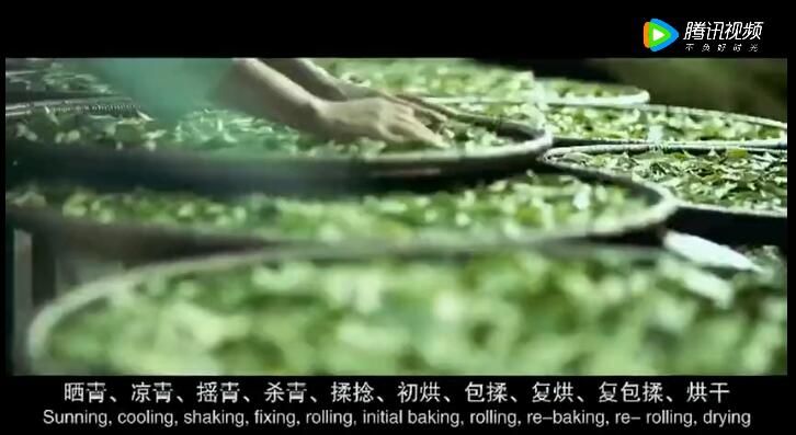 关于借力“茶科技”，安溪茶产业再启航的消息(2)