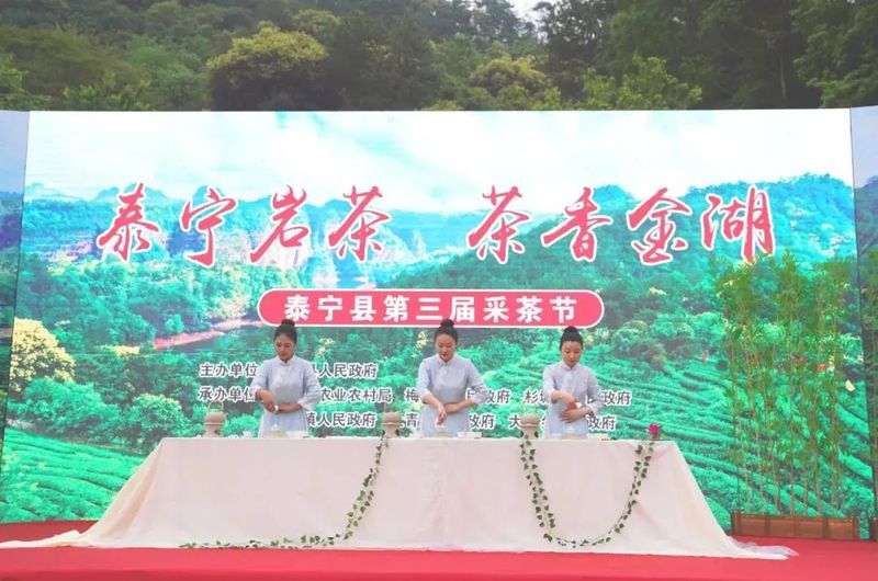 有关于泰宁县开展第三届“泰宁岩茶·茶香金湖”采茶节的消息(7)