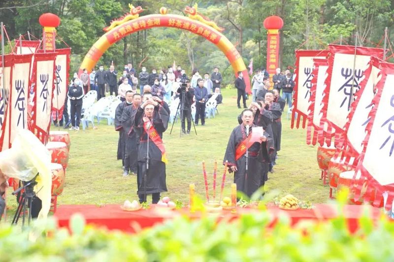 有关于泰宁县开展第三届“泰宁岩茶·茶香金湖”采茶节的消息(10)