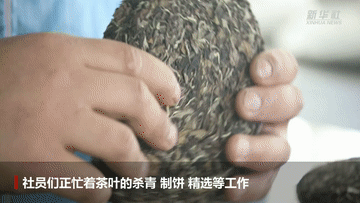 有关于茶香拂遍秦巴山 织出乡村振兴好“钱”途的相关信息(6)