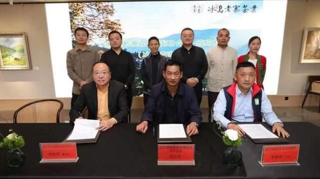 关于2022第六届昆明春茶周拉开大幕  云南99座山头春茶价格的消息(3)