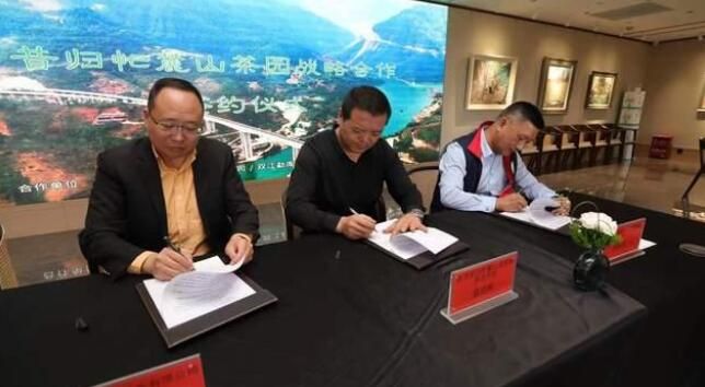 关于2022第六届昆明春茶周拉开大幕  云南99座山头春茶价格的消息(4)