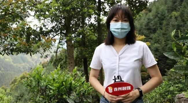 有关于春茶正飘香!连州茶农采茶忙的消息(2)