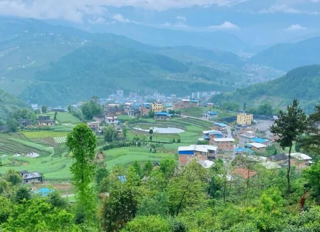 有关于巫山福田茶产业:绿了山头 富了百姓的相关内容