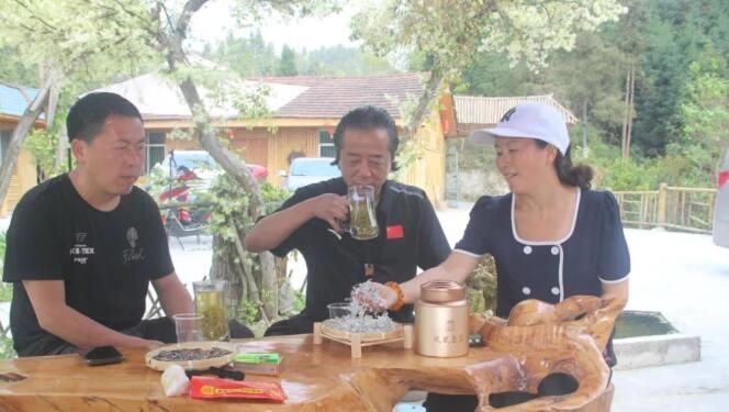 关于湖南凤凰：紫薇雪茶进入产销旺季的消息(7)