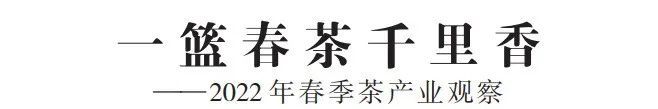 有关于一篮春茶千里香——2022年春季茶产业观察的相关内容