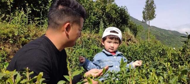 有关于房县姚坪乡:谷雨时节采茶忙的信息