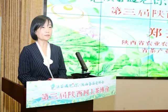 关于第三届陕西网上茶博会启动 多渠道促茶叶销售助茶农增收的新闻(2)