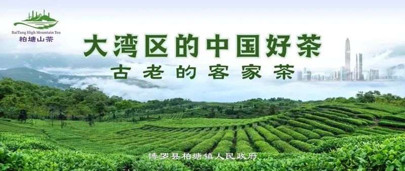 有关于粤港澳大湾区第一个茶文旅综合体项目起航的相关内容(1)