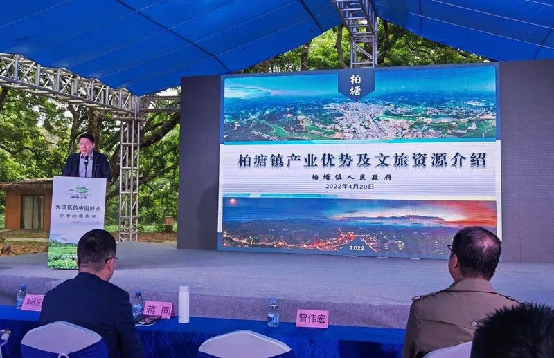 有关于粤港澳大湾区第一个茶文旅综合体项目起航的相关内容