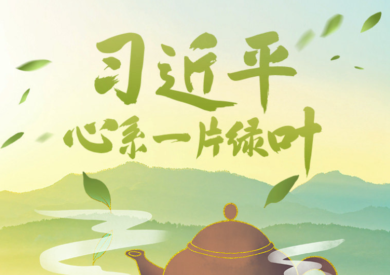 有关于一周茶事 ： 福建多地乌龙茶开采；全国茶叶标准样品工作组成立的资讯