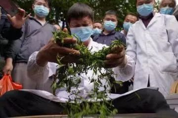 有关于弘扬工匠精神 传承制茶工艺的新闻(2)