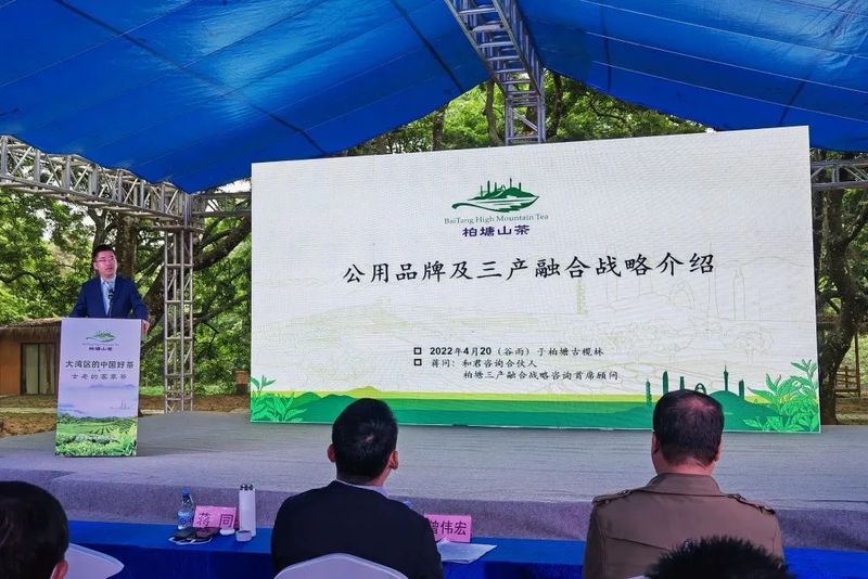 关于“大湾区的中国好茶—柏塘山茶”品牌云发布会暨柏塘乡村振兴项目云推介会的资讯(2)