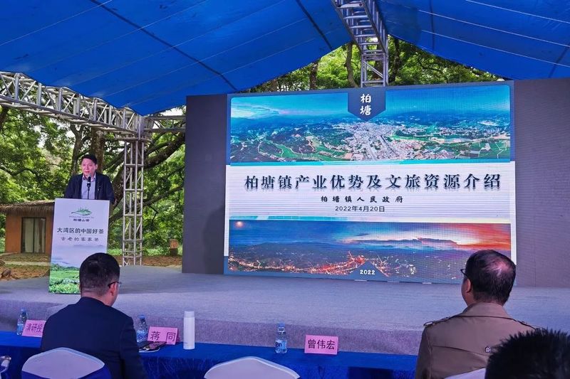 关于“大湾区的中国好茶—柏塘山茶”品牌云发布会暨柏塘乡村振兴项目云推介会的资讯(1)