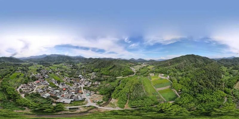 关于“大湾区的中国好茶—柏塘山茶”品牌云发布会暨柏塘乡村振兴项目云推介会的资讯(7)