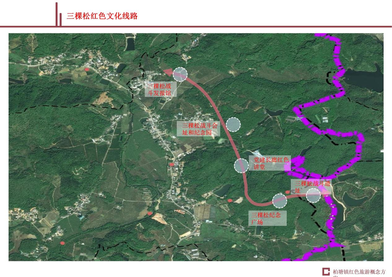 关于“大湾区的中国好茶—柏塘山茶”品牌云发布会暨柏塘乡村振兴项目云推介会的资讯(8)