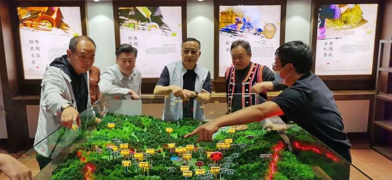 关于云南省人民政府参事张祖林到普洱、临沧等地考察调研普洱茶产业的消息(9)