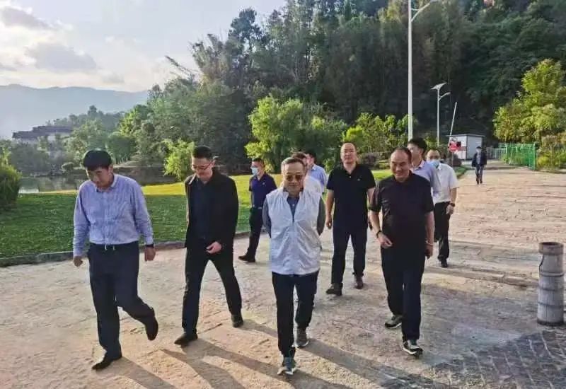 关于云南省人民政府参事张祖林到普洱、临沧等地考察调研普洱茶产业的消息(5)