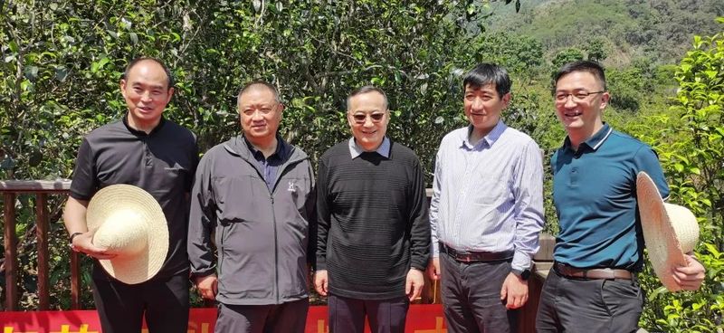 关于云南省人民政府参事张祖林到普洱、临沧等地考察调研普洱茶产业的消息