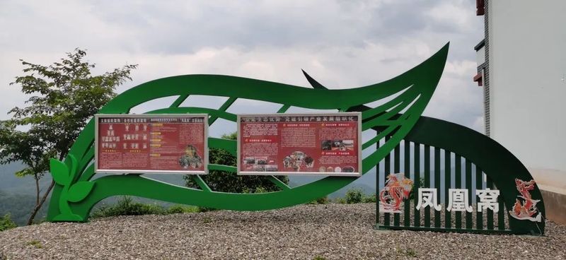 关于云南省人民政府参事张祖林到普洱、临沧等地考察调研普洱茶产业的消息(12)