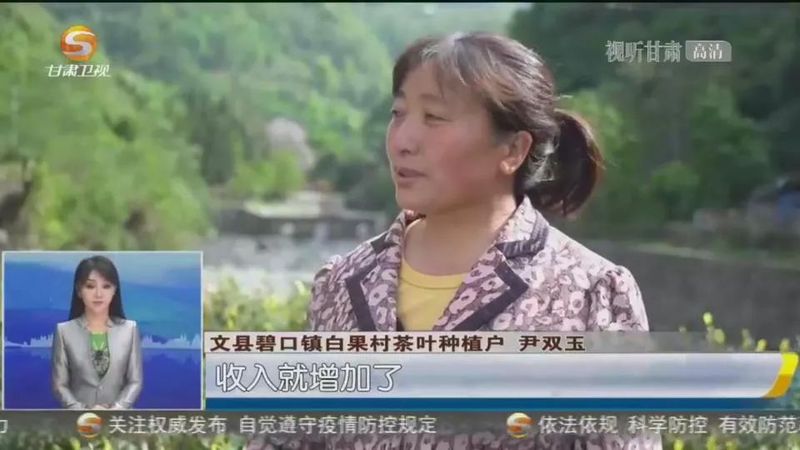 有关于文县：茶产业提质增效 助力乡村振兴的相关信息(2)