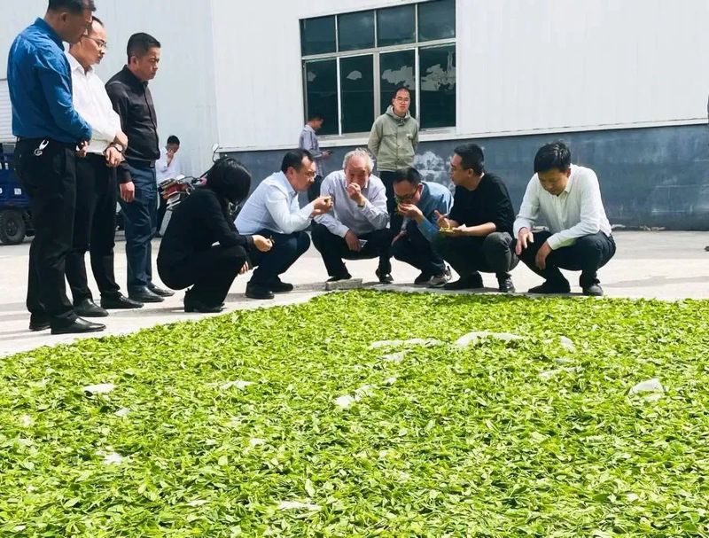 关于胡继承一行到石阡县、岑巩县调研茶产业发展工作的消息(3)