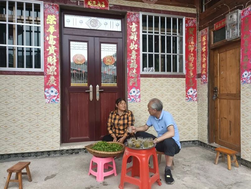 关于胡继承一行到石阡县、岑巩县调研茶产业发展工作的消息(11)
