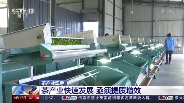 关于央视：多措并举促进茶产业健康发展的内容(2)