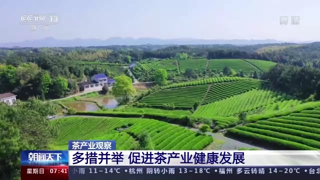 关于央视：多措并举促进茶产业健康发展的内容(5)