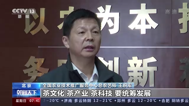 关于央视：多措并举促进茶产业健康发展的内容(4)