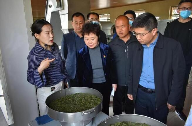 关于诸城市成立茶产业党建联盟，助推“链”上企业融合发展的新闻(2)