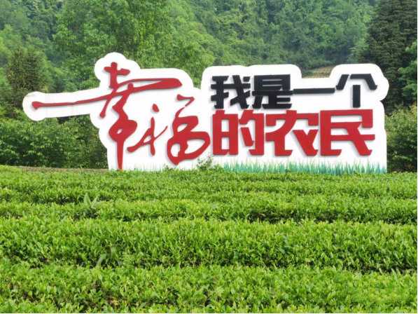 有关于张超率队赴遵义市考察学习茶产业的相关内容(1)