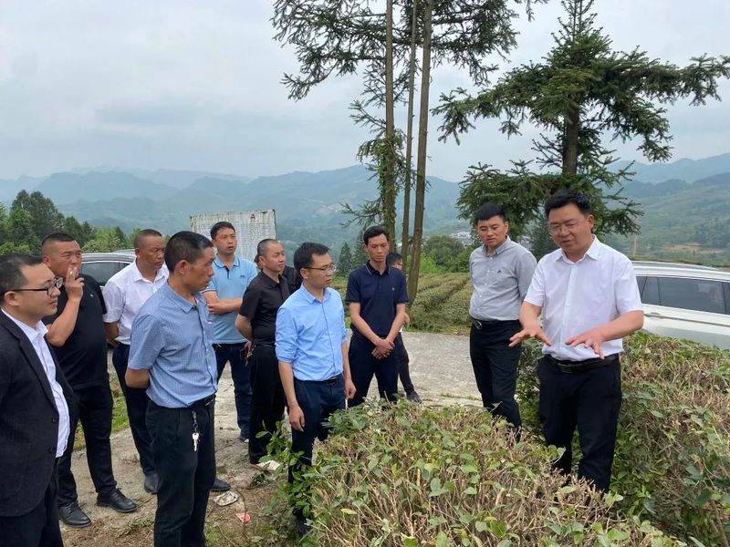 关于中寨镇前往塘坝镇、新景镇实地学习借鉴茶产业发展经验的新闻(1)