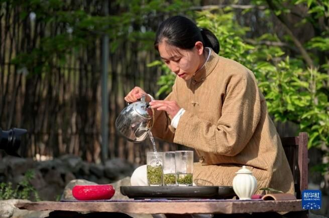 关于河北省：桐花村东篱茶园采茶制茶忙的消息(4)