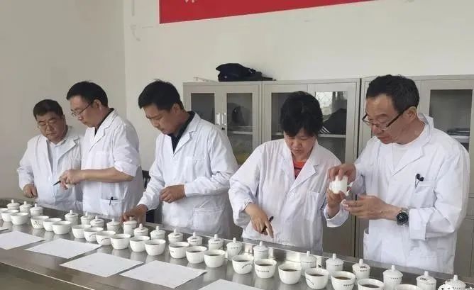 有关于一片茶叶的“香味密码”的相关信息(5)