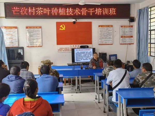 关于云南茶叶所专家贡山县传播茶科技 助力乡村振兴的资讯