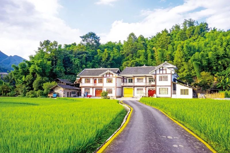 关于最美乡村 湄潭样板——湄潭县推进乡村全面振兴扫描的相关内容(3)