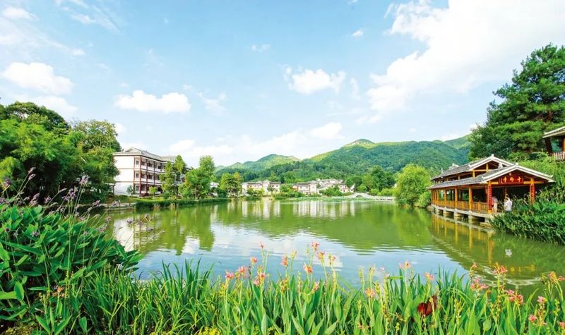 关于最美乡村 湄潭样板——湄潭县推进乡村全面振兴扫描的相关内容(2)