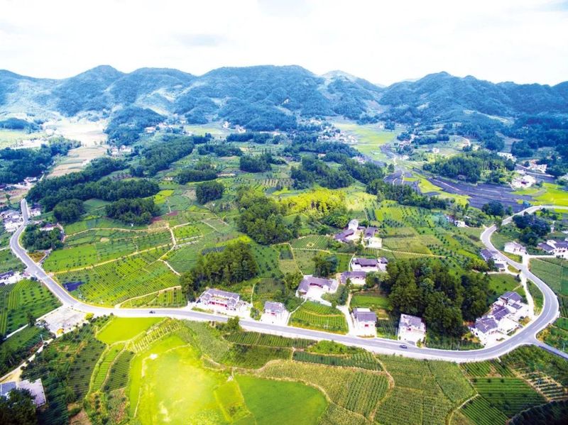 关于最美乡村 湄潭样板——湄潭县推进乡村全面振兴扫描的相关内容(1)
