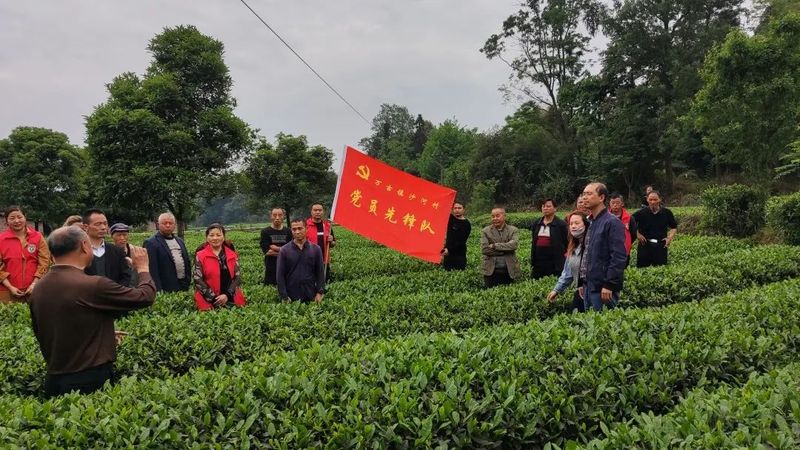 有关于万古镇沙河村“党建+”引领壮大茶产业促进茶旅融合的内容