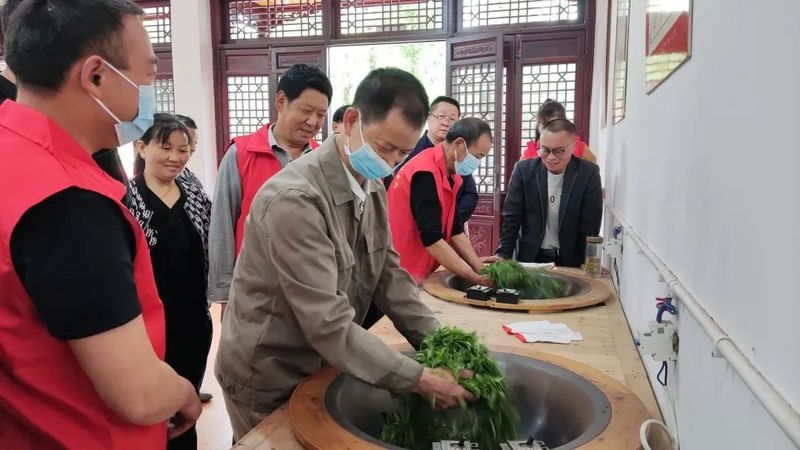 有关于万古镇沙河村“党建+”引领壮大茶产业促进茶旅融合的内容(1)