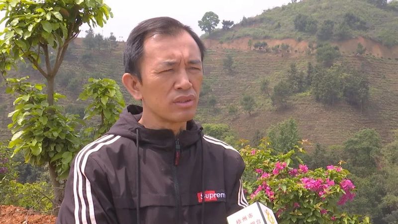 关于美如画!这个7000亩的茶园很有料的新闻(1)