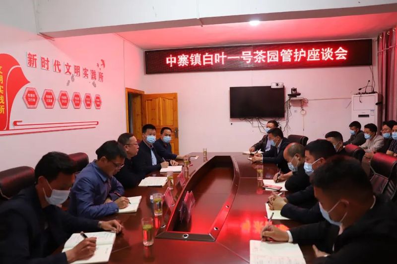 有关于席宁携茶叶专家到中寨镇调研指导茶产业的相关信息(3)