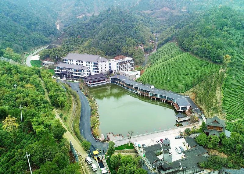 关于百条红色茶乡旅游精品路线，浙江安吉：“醉美两山路·安吉白茶香”红色旅游精品路线的信息(10)