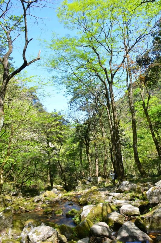 有关于“潇湘·邵阳红”2022湖南生态旅游节暨第三届舜皇山野茶节将于5月开幕的消息